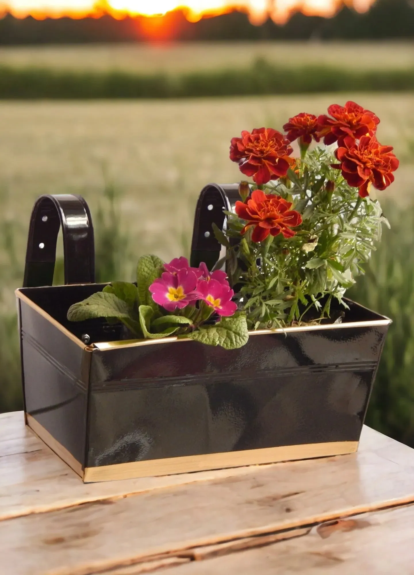 Arractive Metal Design Rectangle Balcony Hanging Planters  | Set Of 3| Flowers Not Included