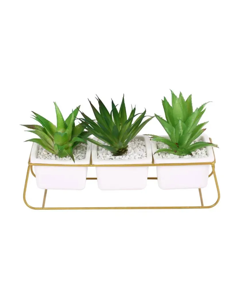 Chic Succulents Artificial Plant with Ceramic Pot & Metal stand | 6 inches