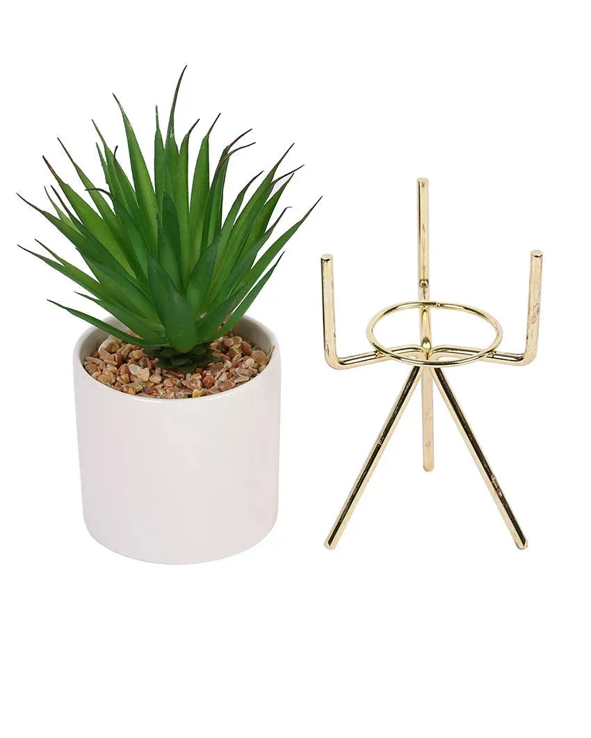 Cityscape Succulents Artificial Plant with Ceramic Pot & Metal Tripod Stand | 10 inches