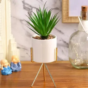 Cityscape Succulents Artificial Plant with Ceramic Pot & Metal Tripod Stand | 10 inches