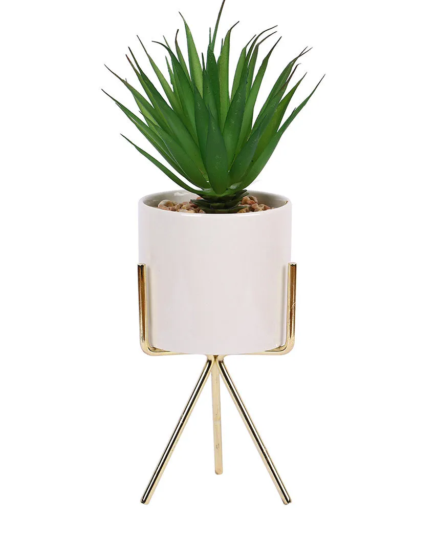 Cityscape Succulents Artificial Plant with Ceramic Pot & Metal Tripod Stand | 10 inches