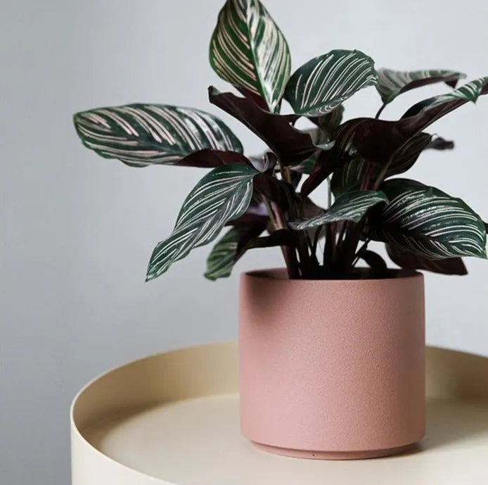 Colorful Porcelain Stackable Planters