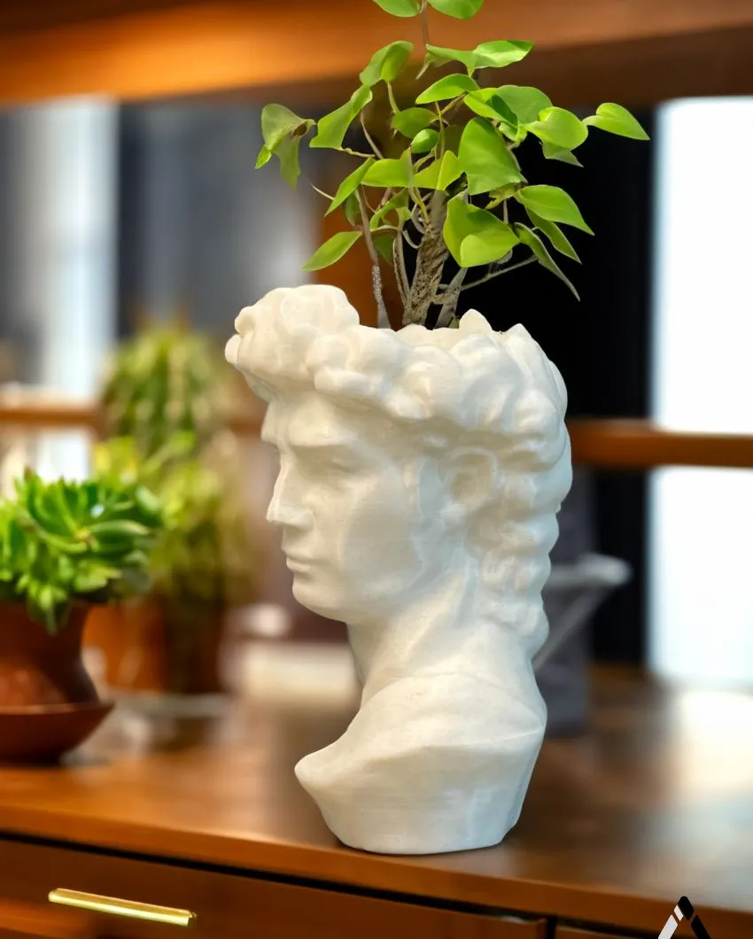 David Head PLA Planter | White | Plant Not Included