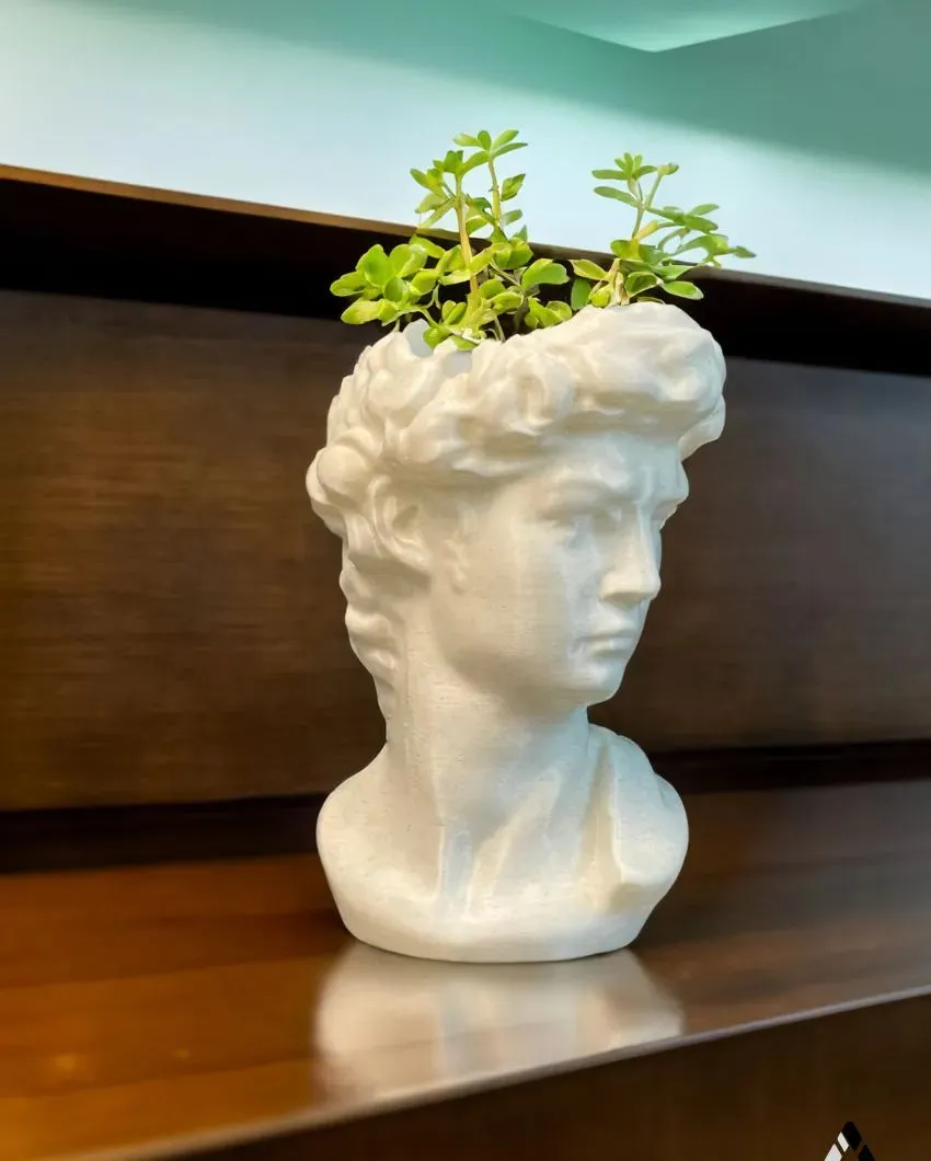 David Head PLA Planter | White | Plant Not Included