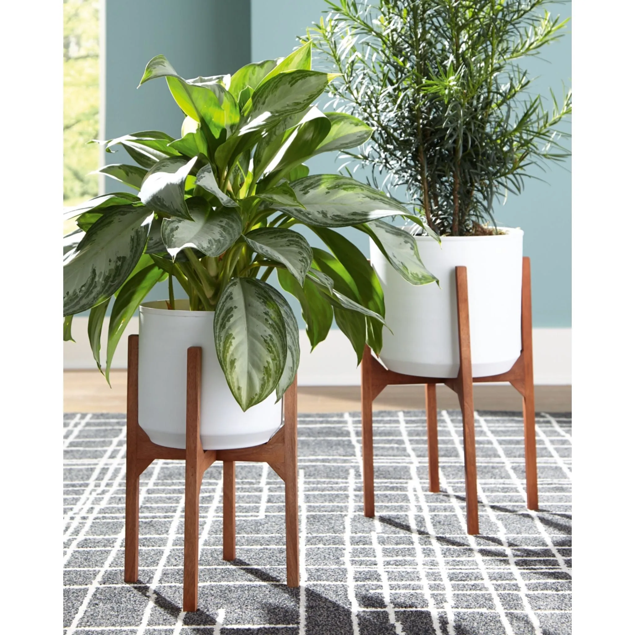 Dorcey Plant Stand