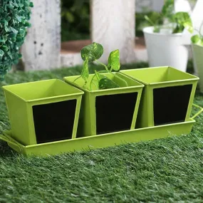 Go Green Planter Set- Green