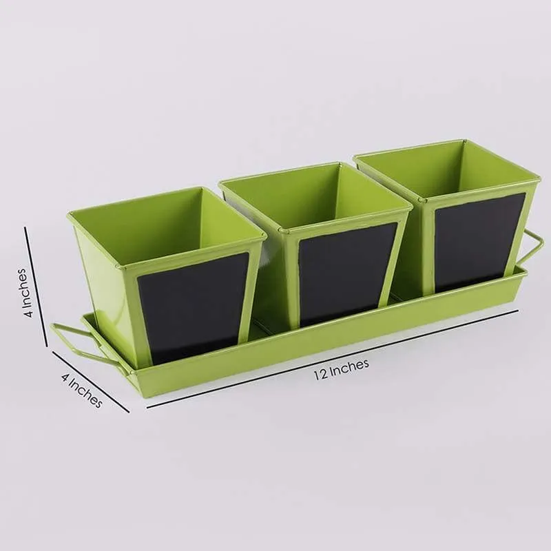 Go Green Planter Set- Green