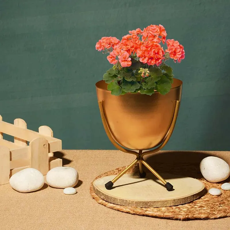 Matte Finish Golden Table Top Metal Planters With Stand 