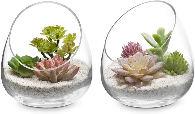 Modern Clear Glass Display Bowls, Plant Vases, Votive Candle Holder, Decorative Storage Jars, Set of 2