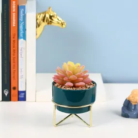 Modern Succulents Artificial Plant with Ceramic Pot & Metal Tripod Stand | 4 inches