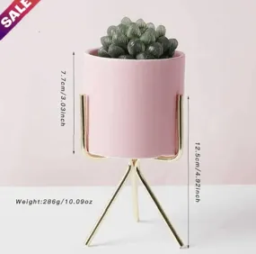 Pink Planter