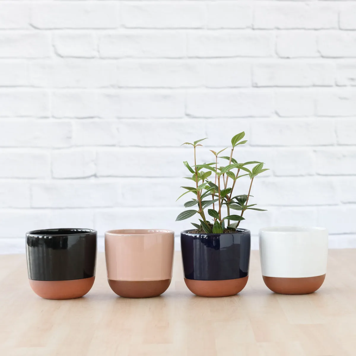 Pluto Planter - Black