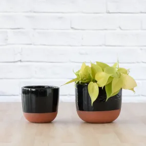 Pluto Planter - Black