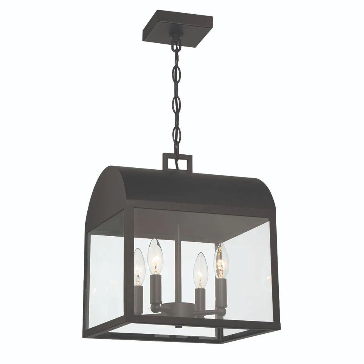 Soyar 4 Lights 12 in. Outdoor Pendant Light Satin Black finish