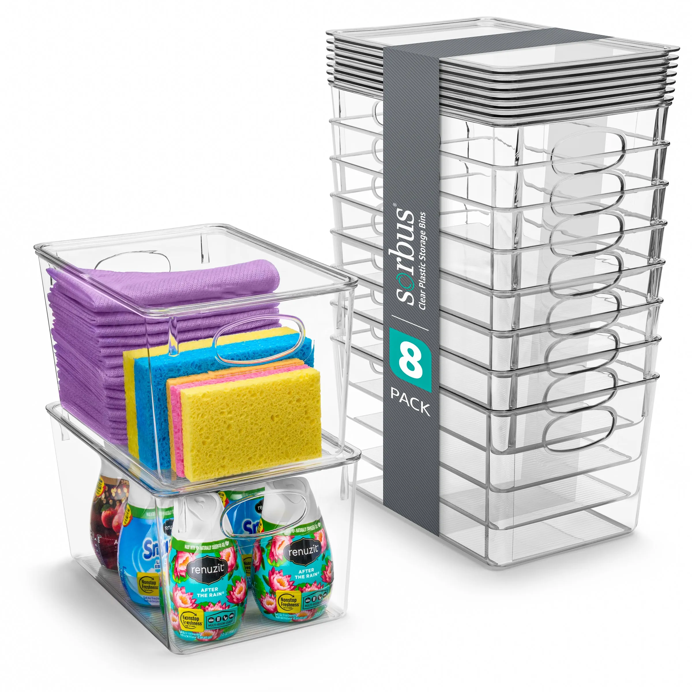 Storage Bins with Lids Set (Large)