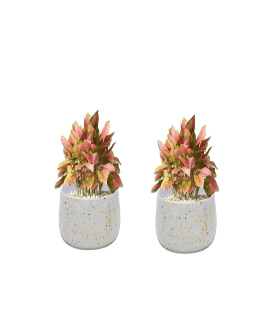 Stylish Speckled Metal Planter Without Plant | Set of 2 | 6 x 3 inches