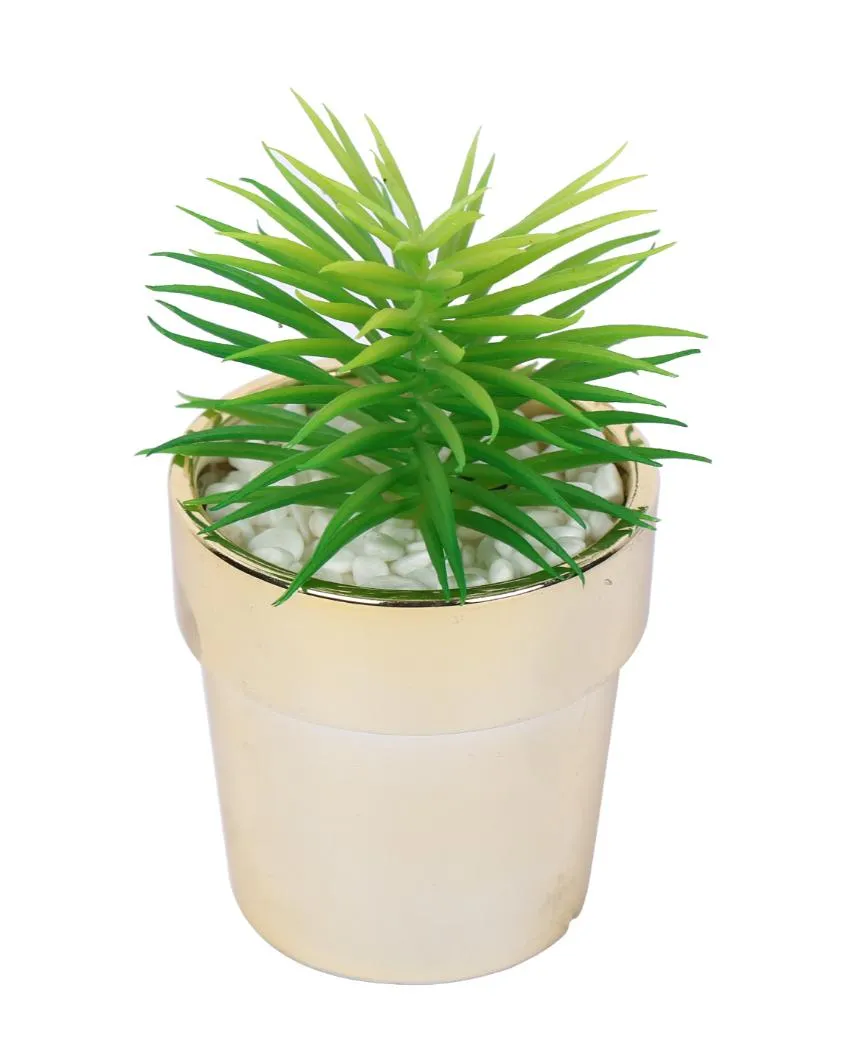 Subtle Succulents Artificial Plant with Ceramic Pot | 6 inches