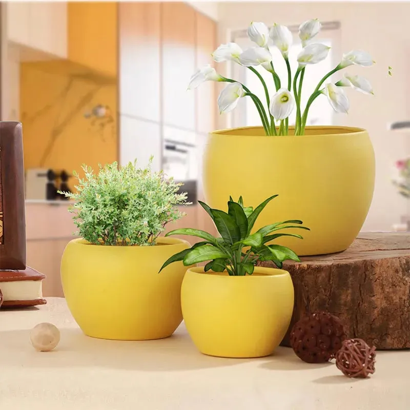 Yellow Matte Finished Elegant Table Top Planters | Set of 6