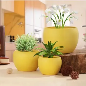 Yellow Matte Finished Elegant Table Top Planters | Set of 6